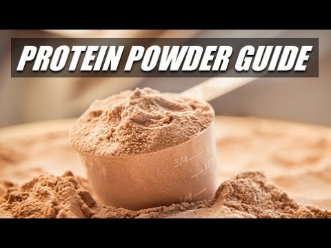 cheap protein powder