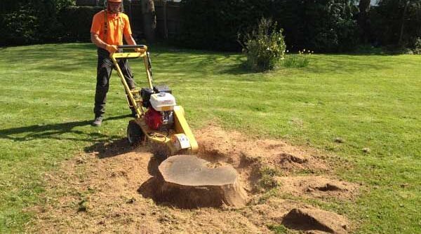 Lawn Care