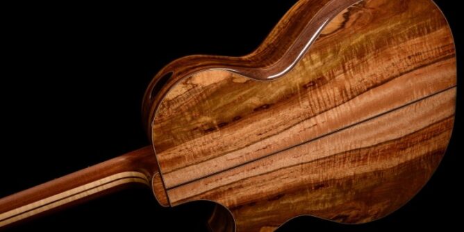 figured maple guitar back and sides