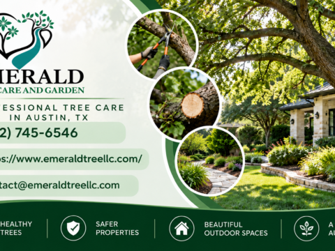 Tree Pruning in Austin TX